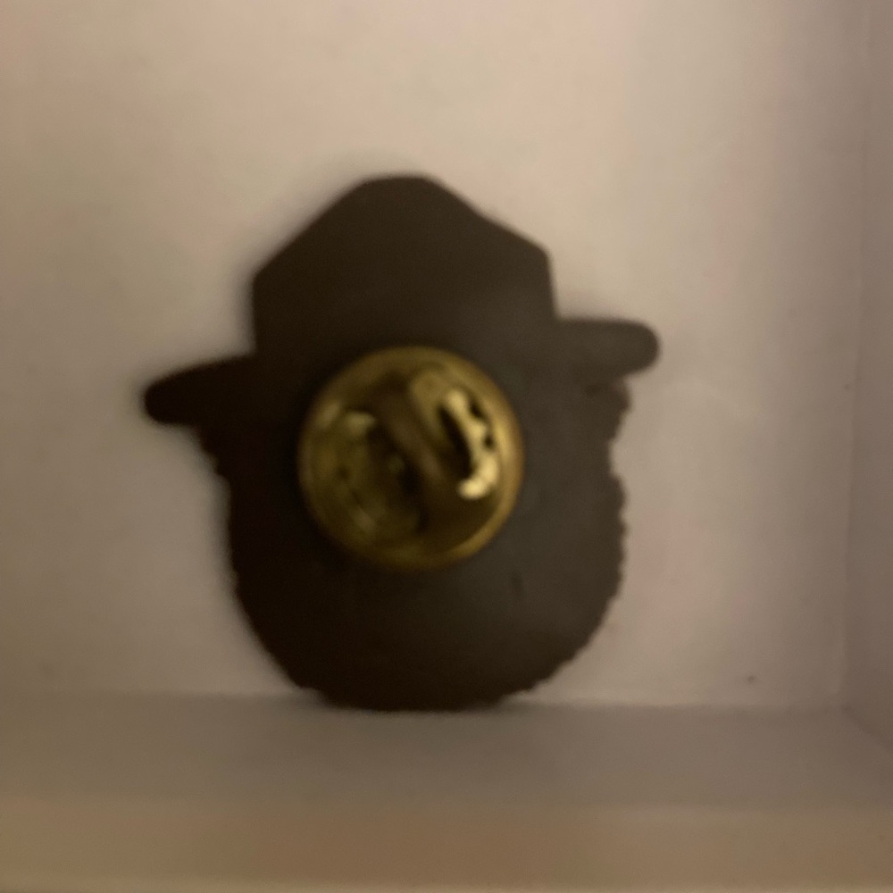 Vtg Smokey Bear Head Pin Brown Plastic Pinback Only You Can Prevent Wildfires - Picture 2 of 2